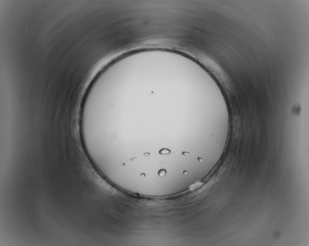 X0000101411288200808041055