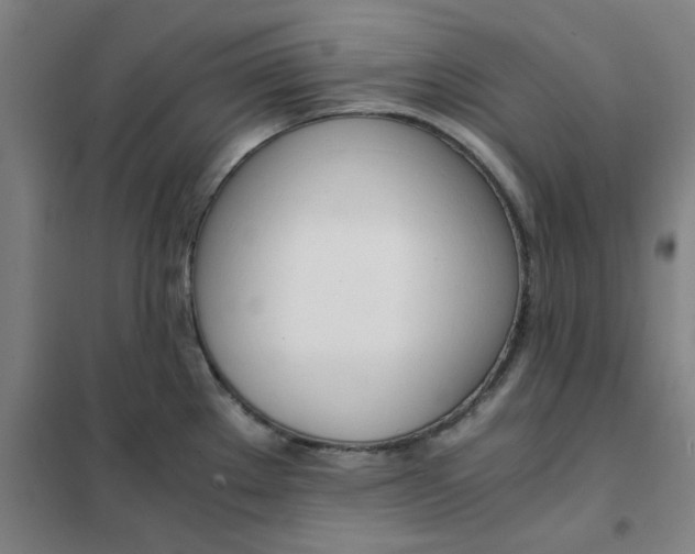 X0000101411289200808041055
