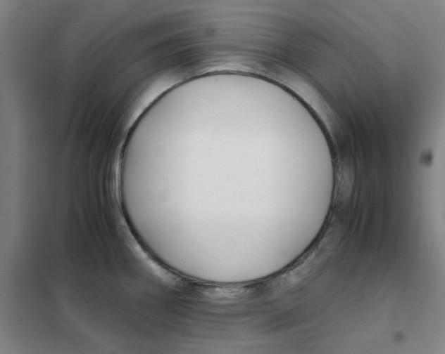 X0000101411290200808041055
