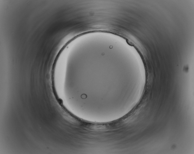 X0000101411291200808041055