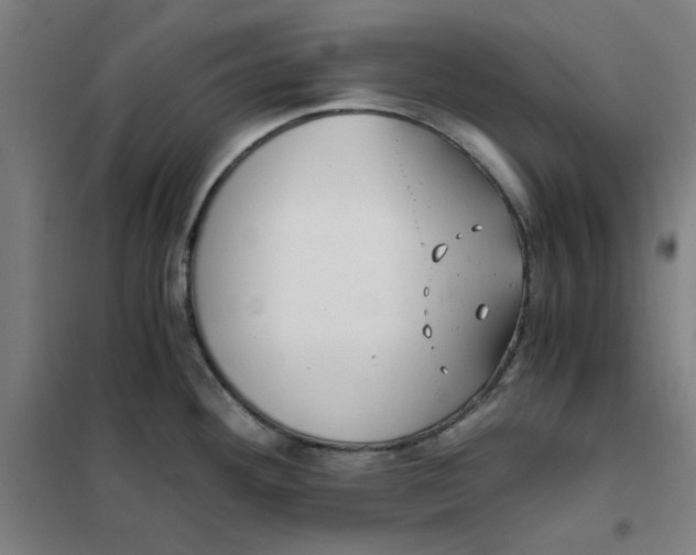 X0000101411292200808041055