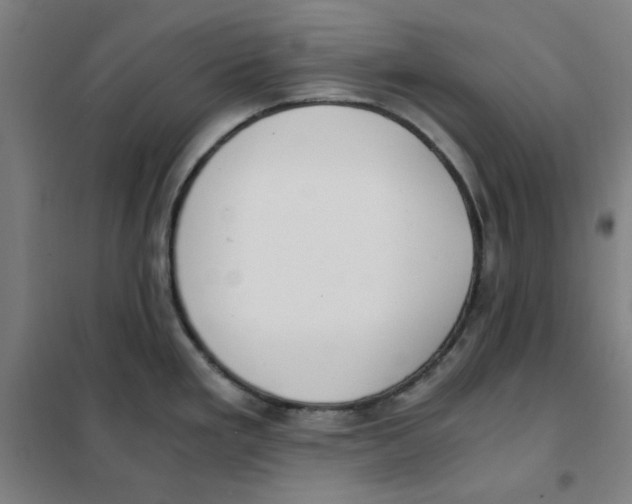 X0000101411293200808041055