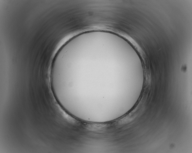 X0000101411294200808041055