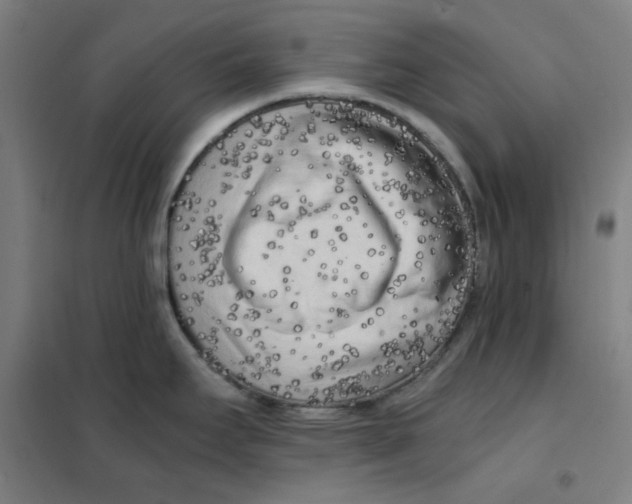 X0000101411295200808041055