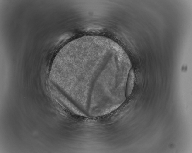 X0000101411297200808041055