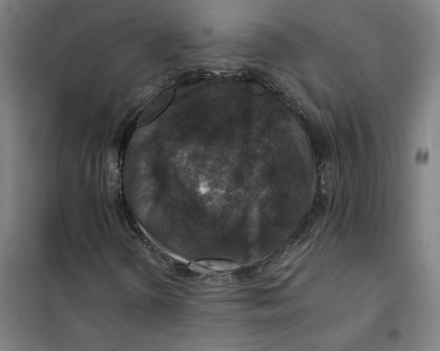 X0000101411298200808041055