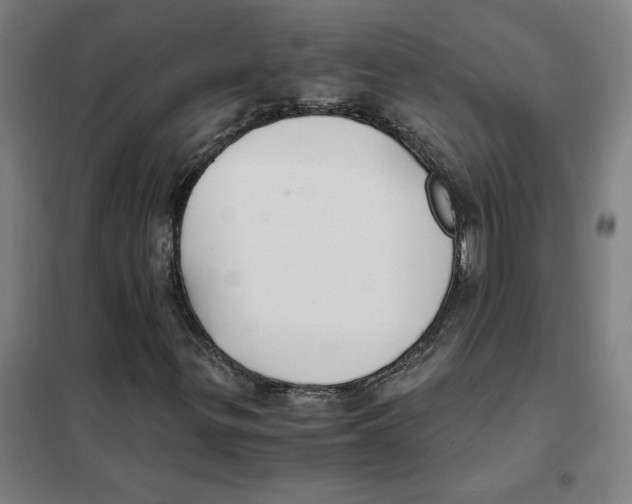 X0000101411299200808041055