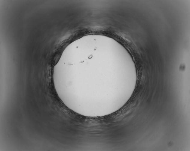 X0000101411301200808041055