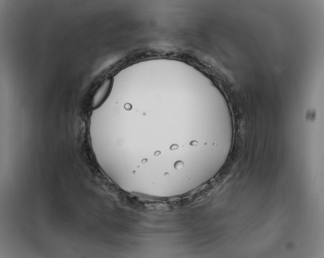 X0000101411302200808041055