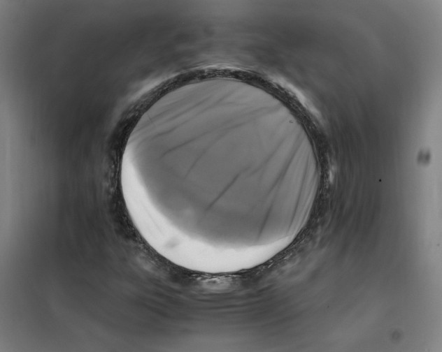 X0000101411303200808041055
