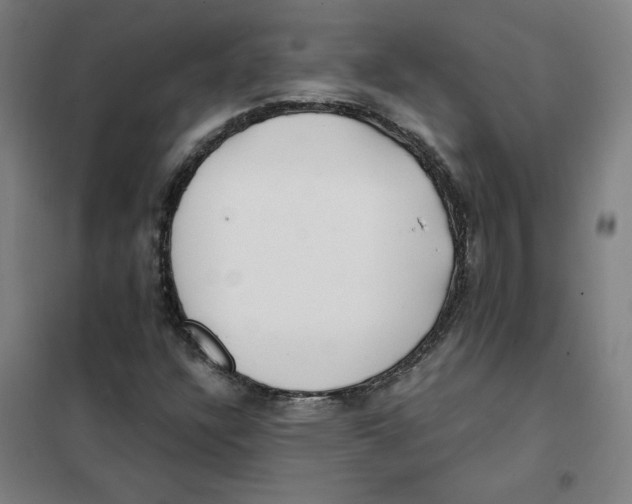 X0000101411304200808041055