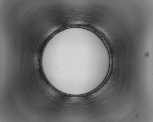 X0000101411305200808041055