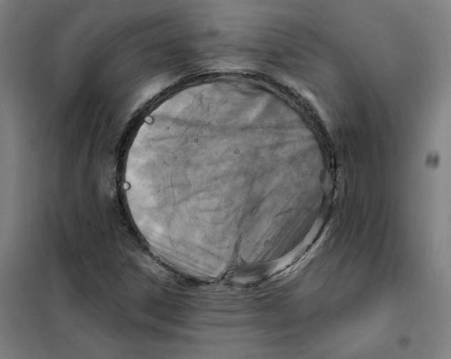 X0000101411306200808041055