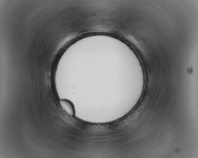 X0000101411307200808041055