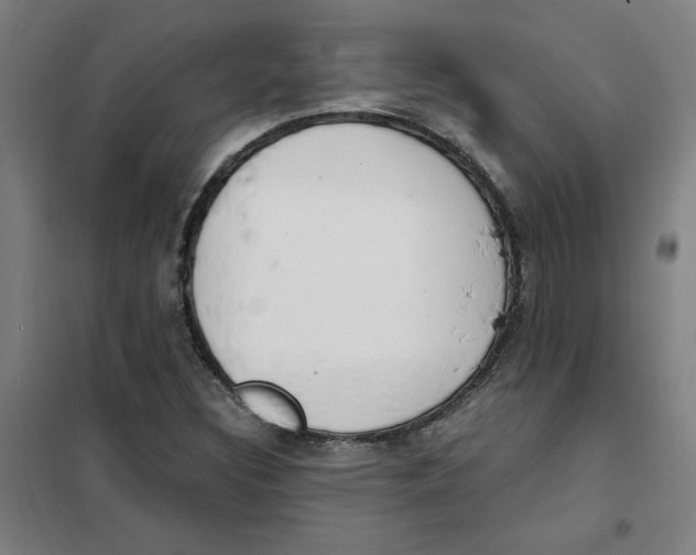 X0000101411308200808041055