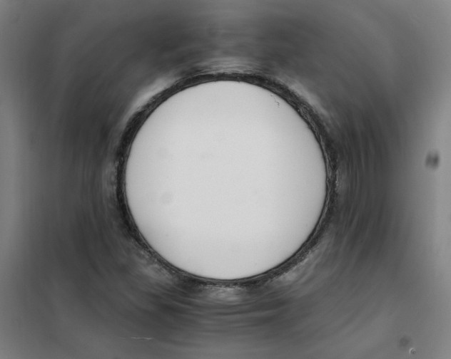 X0000101411309200808041055