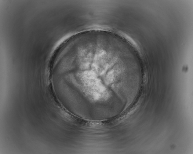 X0000101411310200808041055