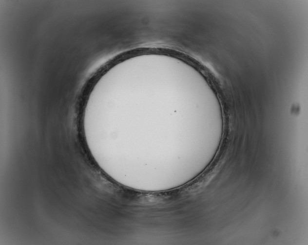 X0000101411311200808041055
