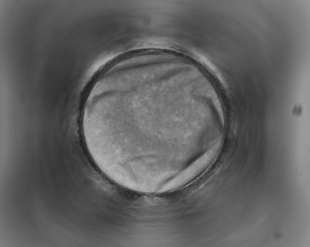 X0000101411312200808041055