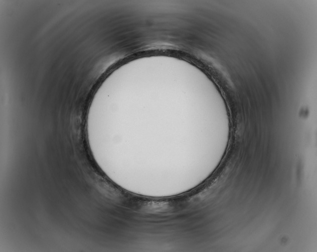 X0000101411313200808041055