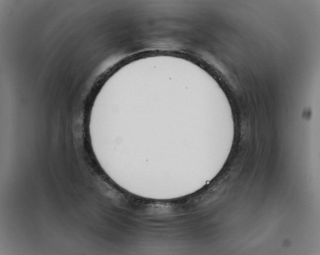 X0000101411315200808041055