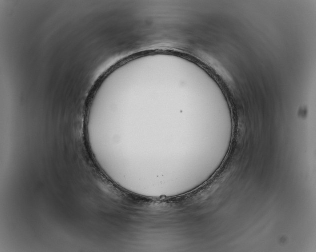 X0000101411316200808041055