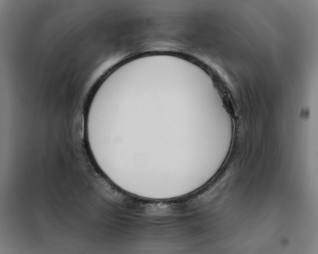 X0000101411317200808041055