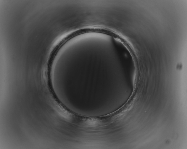 X0000101411319200808041055