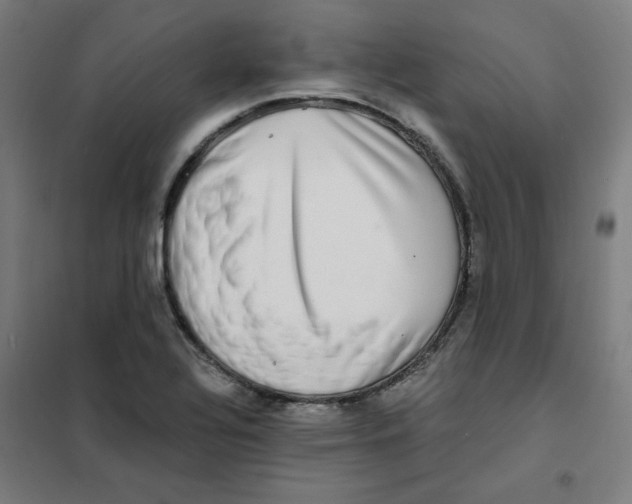 X0000101411320200808041055