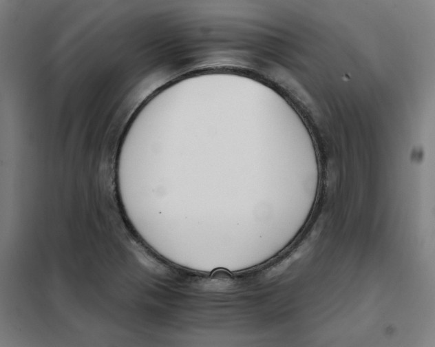 X0000101411321200808041055