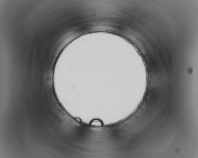 X0000101411322200808041055
