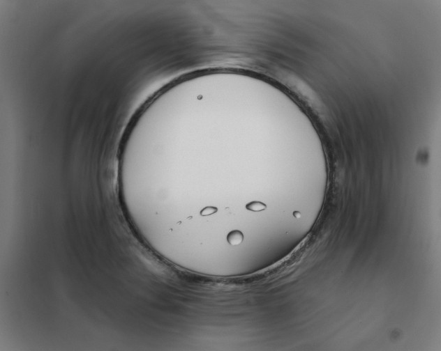 X0000101411324200808041055