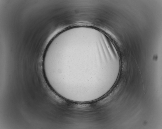 X0000101411325200808041055