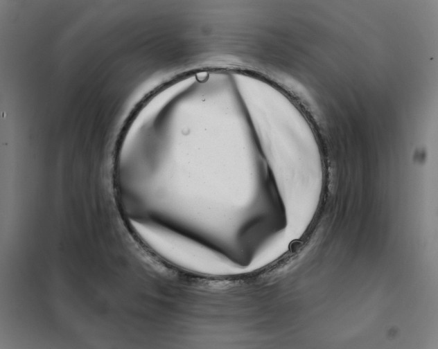 X0000101411326200808041055