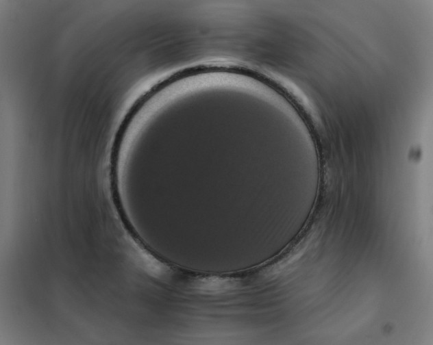 X0000101411327200808041055