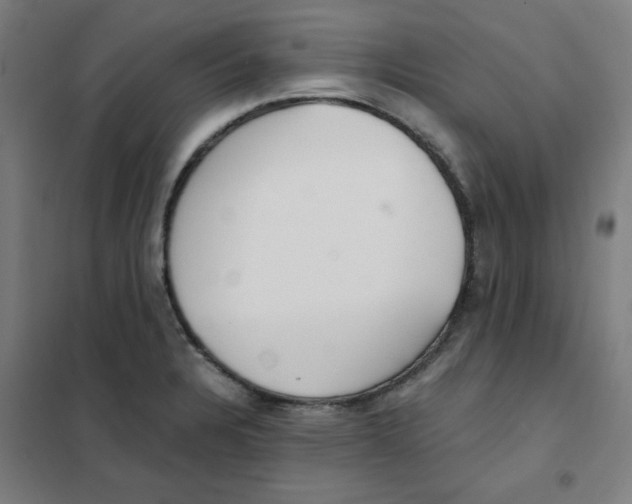 X0000101411328200808041055