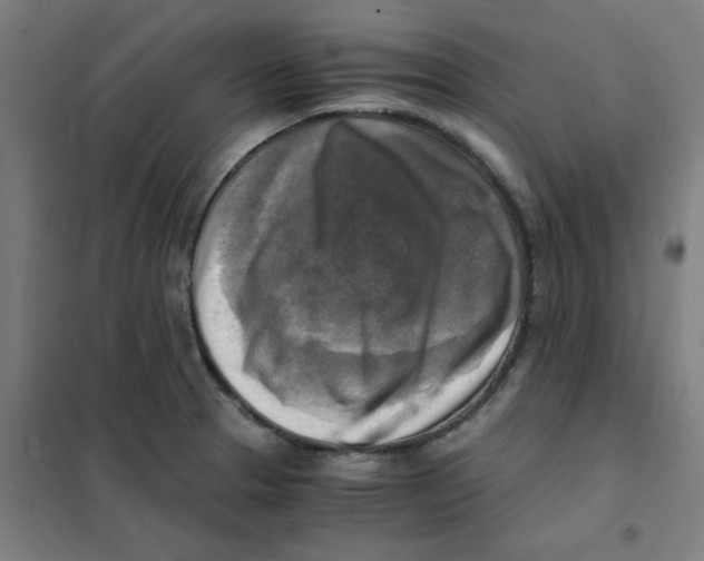 X0000101411329200808041055