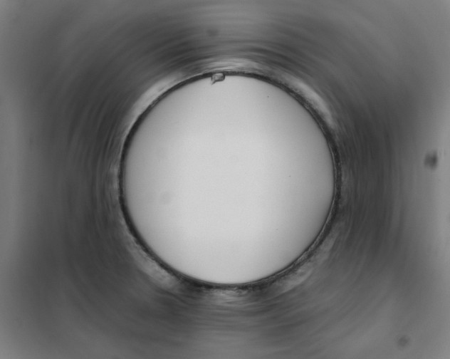 X0000101411330200808041055