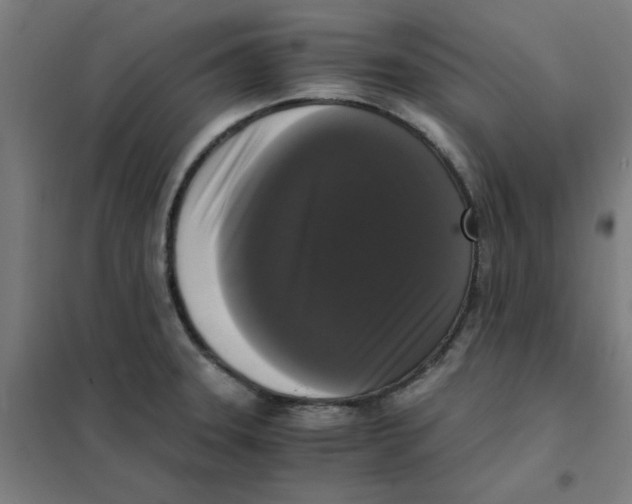 X0000101411331200808041055