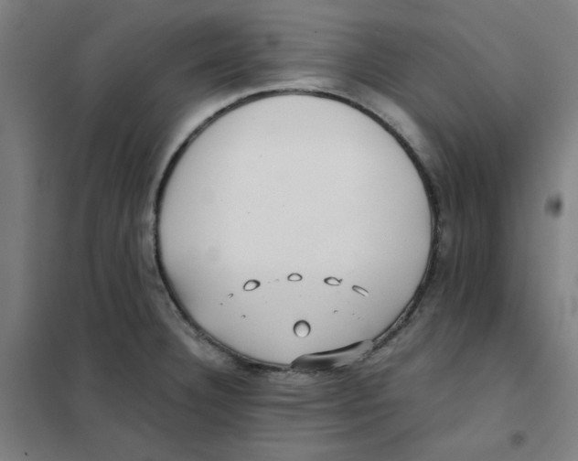 X0000101411332200808041055