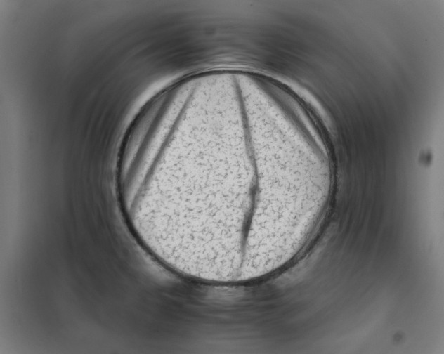 X0000101411333200808041055