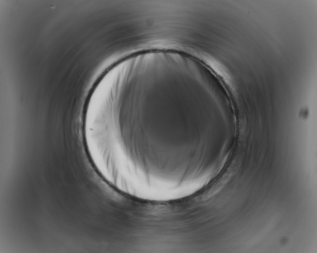 X0000101411334200808041055