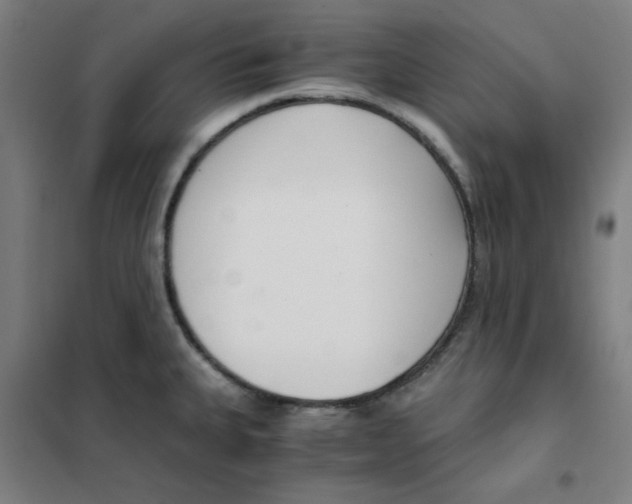 X0000101411335200808041055