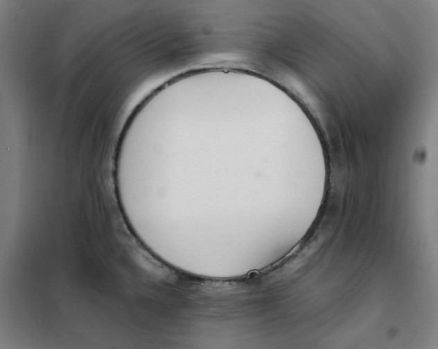 X0000101411336200808041055
