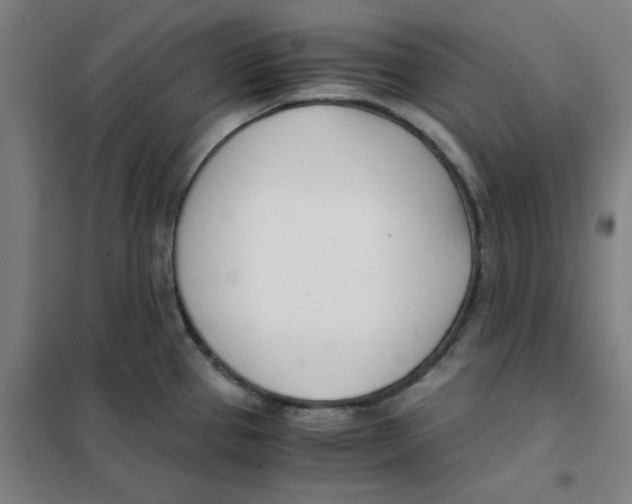 X0000101411337200808041055
