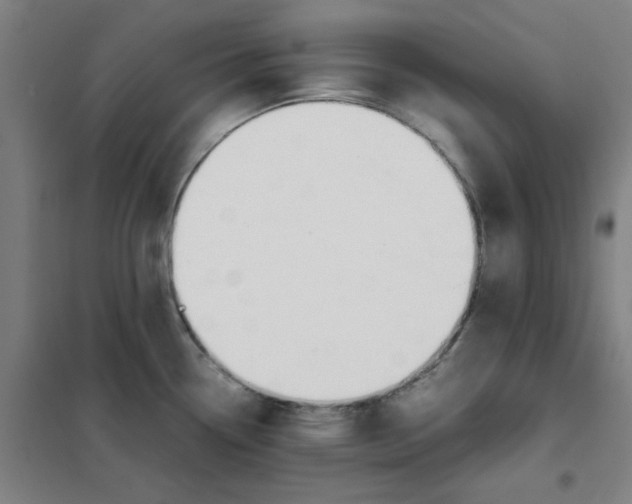 X0000101411338200808041055
