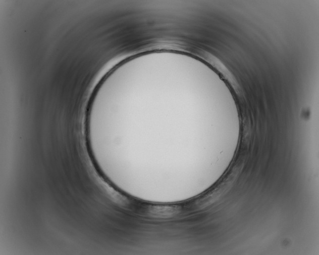 X0000101411339200808041055