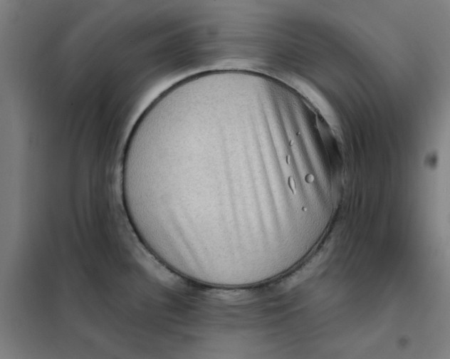 X0000101411340200808041055