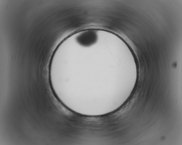 X0000101411341200808041055