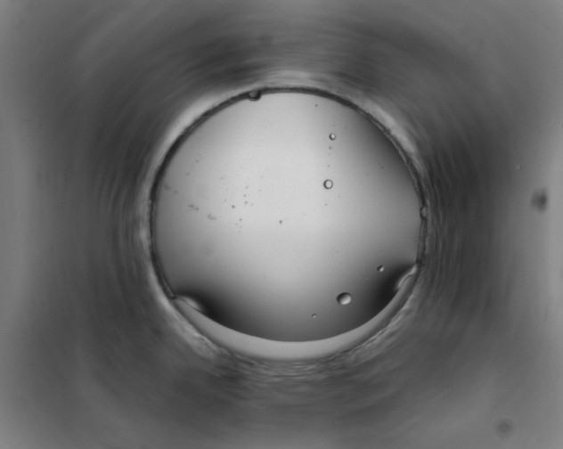 X0000101411342200808041055
